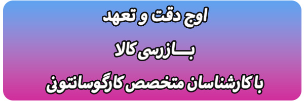 بازرسی کالا با کارگوسانتونی